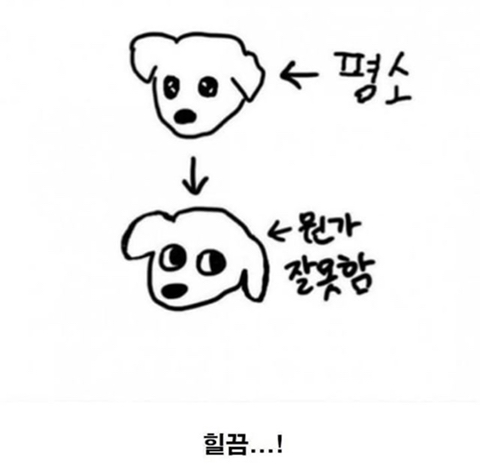 세기의 조랭이 대결 | 인스티즈
