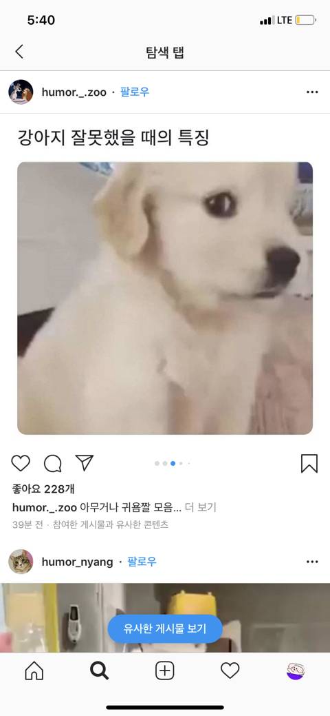 세기의 조랭이 대결 | 인스티즈