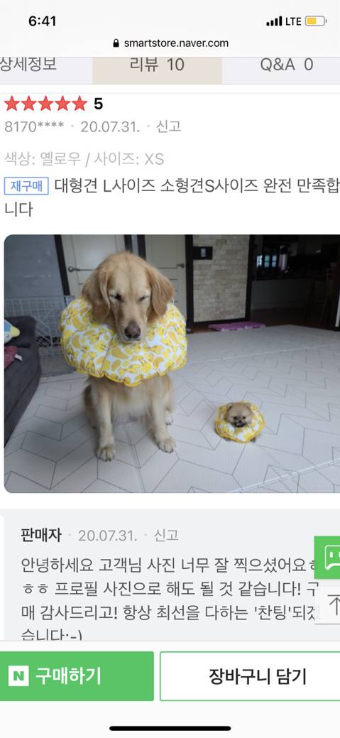 강아지 넥카라 후기.jpg | 인스티즈