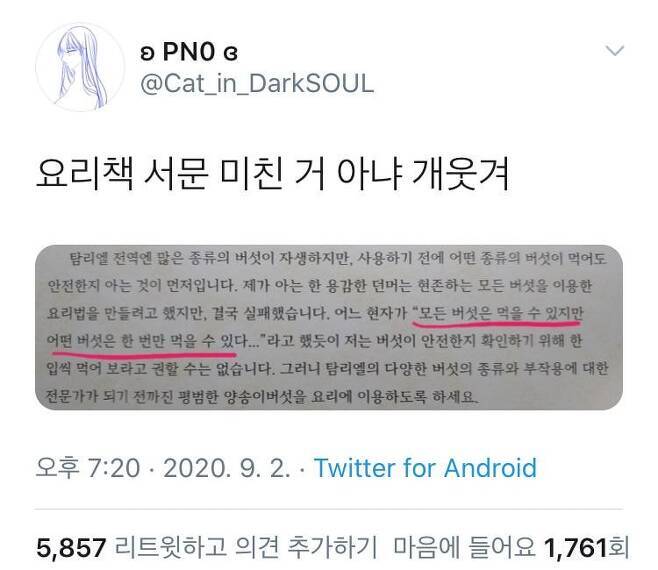 모든 버섯은 먹을 수 있다 (의외) | 인스티즈