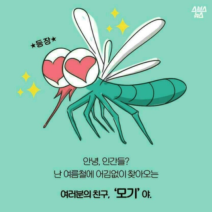 모기에 대한 오해를 푸는 만화 | 인스티즈