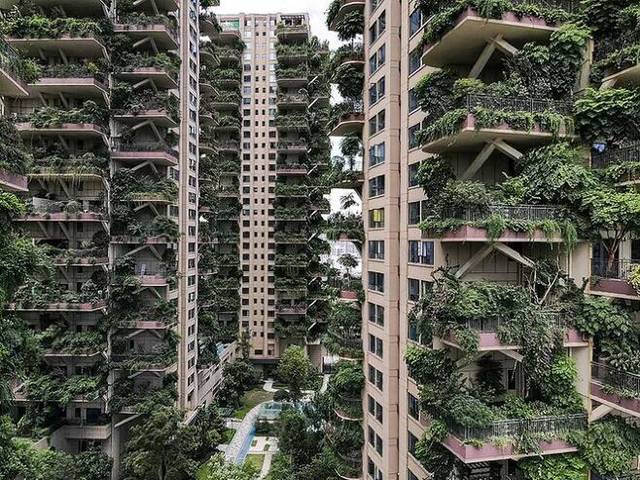 "모기가 너무 많아" 중국 숲아파트 8백가구 중 10가구만 입주 | 인스티즈
