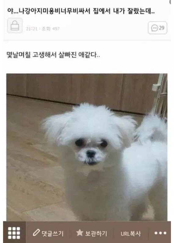 ??: 코팩 이렇게 하는거 맞아? | 인스티즈