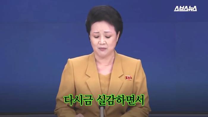 작성자가 스트레스 쌓일때마다 보는 영상(feat.조선중앙TV) | 인스티즈