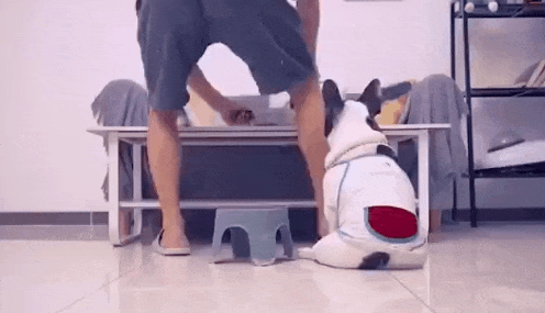 너 정말 왜이러니.gif | 인스티즈