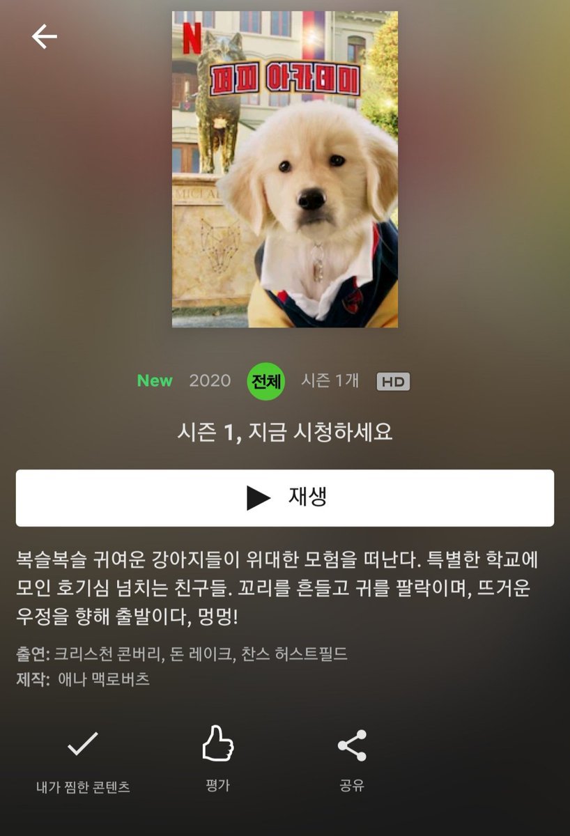 넷플릭스의 강아지 드라마 '퍼피 아카데미' | 인스티즈