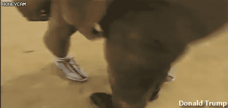 UDT/SEAL 실제 훈련짤.gif | 인스티즈