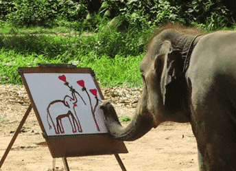 코끼리 아저씨는 코가 손이래 | 인스티즈