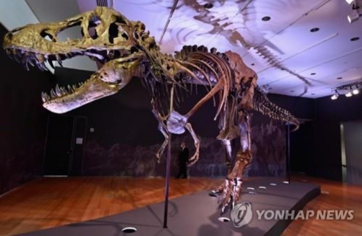 티라노사우루스 화석 뉴욕 경매 나와…예상 경매가 800만달러 | 인스티즈
