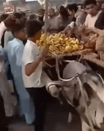 인도시장 | 인스티즈