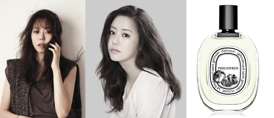 여자연예인들이 쓰는 향수 | 인스티즈