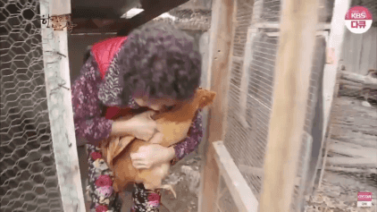 집에 가자고 했자나!!!!! 이쁘다고 했자나!!!!! | 인스티즈