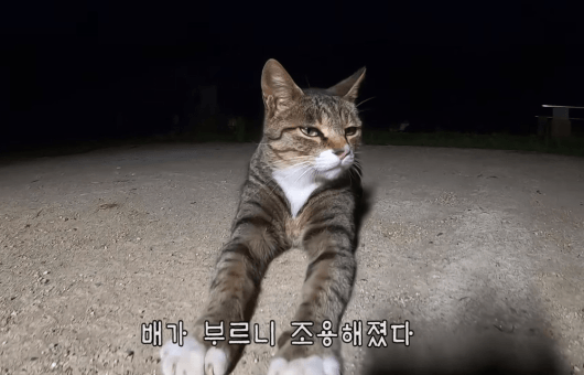 [hahaha] 양어장 일짱 하연님 | 인스티즈