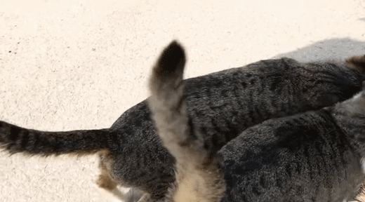 [hahaha] 양어장 일짱 하연님 | 인스티즈