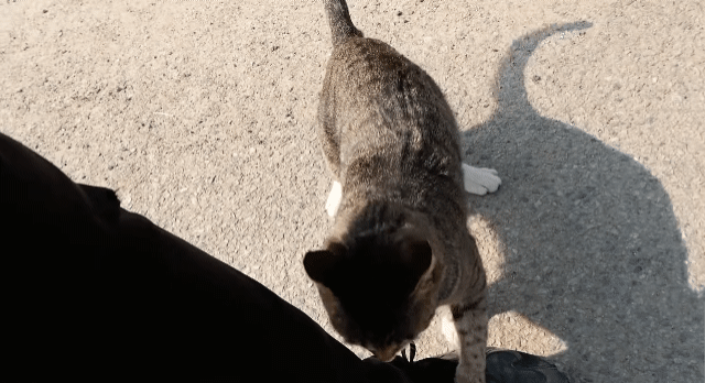 [hahaha] 양어장 일짱 하연님 | 인스티즈