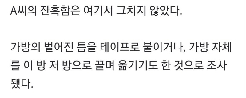 여행가방 속 땀소변 범벅된 아이 마지막 외침 "아, 숨이…" | 인스티즈