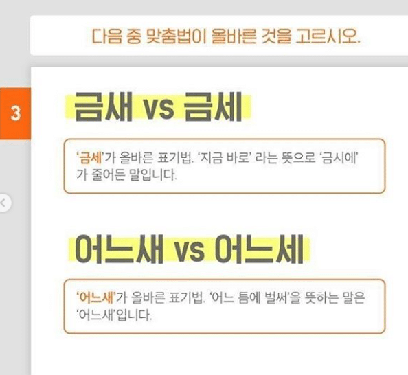 한국인 50%가 모른다는 맞춤법.jpg | 인스티즈