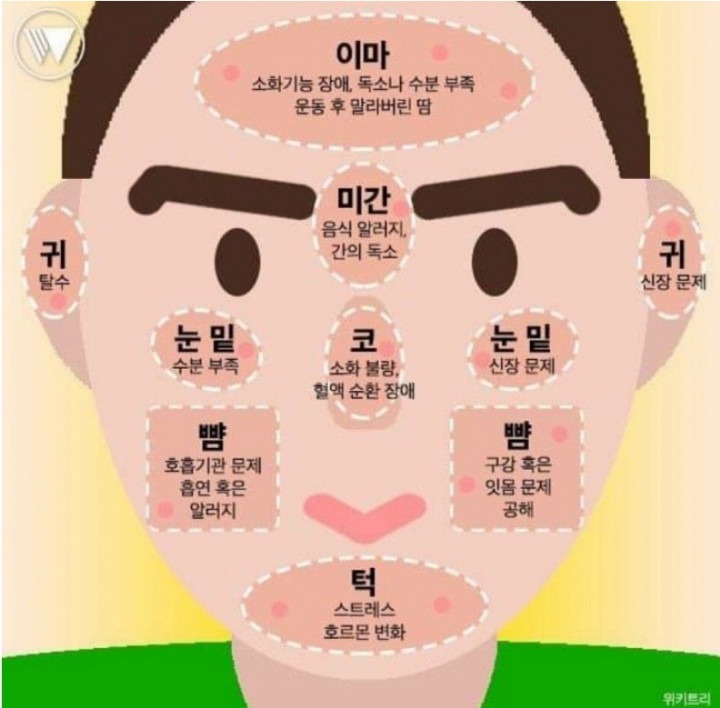 얼굴 트러블로 알수있는 건강의 신호 | 인스티즈