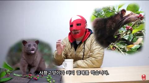 유튜브에 미을 치면 제일 위에 뜨는 유튜버의 진짜 광기 | 인스티즈