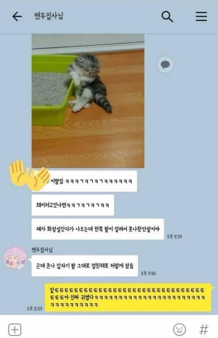 이상한데서 잠들어버린 고양이.jpg | 인스티즈