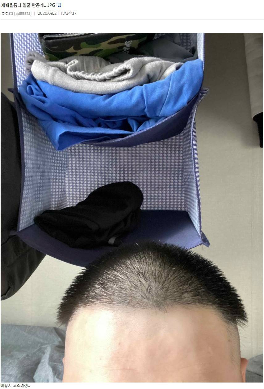 머리 인증한 디씨인 | 인스티즈