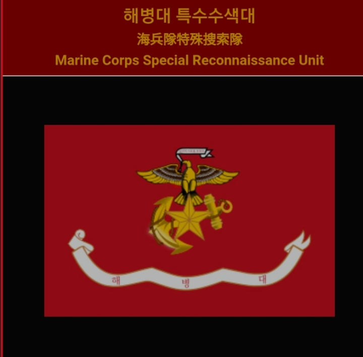 대한민국 특수부대 list | 인스티즈
