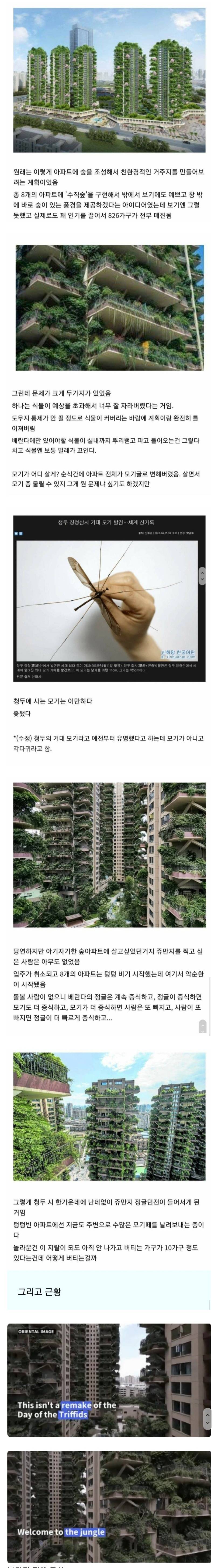 중국 친환경 아파트 근황 ㄷㄷㄷ.jpg속 | 인스티즈