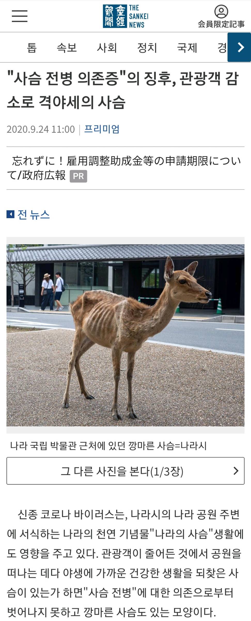 일본 사슴공원 근황.jpg | 인스티즈