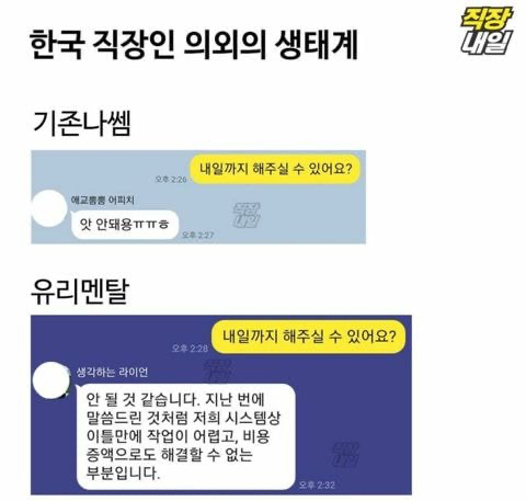 한국 직장인 의외의 생태계 | 인스티즈