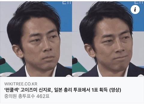 펀쿨섹좌 일본 총리 투표수ㅋㅋㅋ | 인스티즈