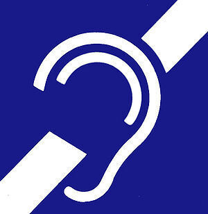 당신은 청각장애인에게 어떤 음악을 들려주겠는가?.jpg | 인스티즈