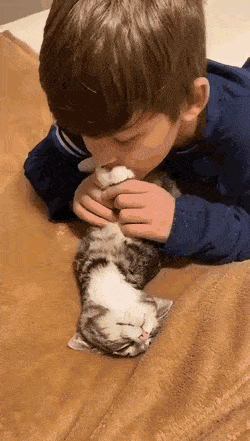 잠자는 어린 고양이를 귀여워하는 어린 집사.gif | 인스티즈