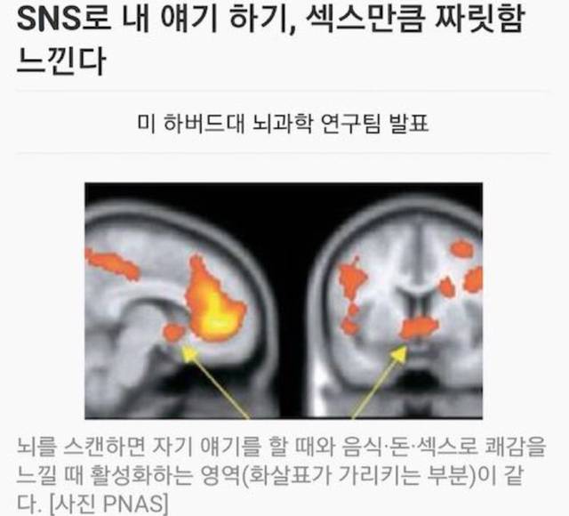 ㅅㅅ하는 방법.jpg | 인스티즈