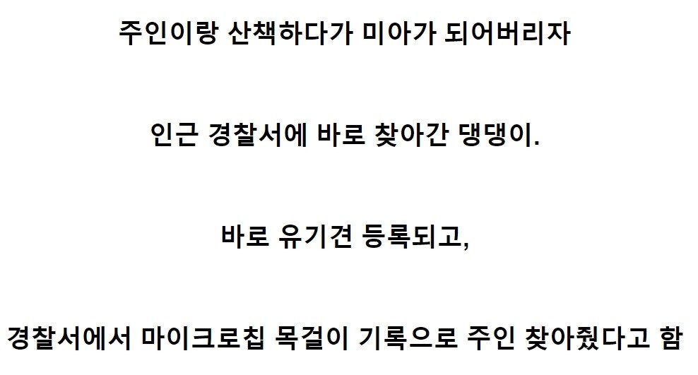 주인 잃어버리고 경찰서 간 댕댕이 | 인스티즈