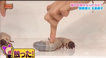 히든박스로 보는 한국과 일본차이 | 인스티즈