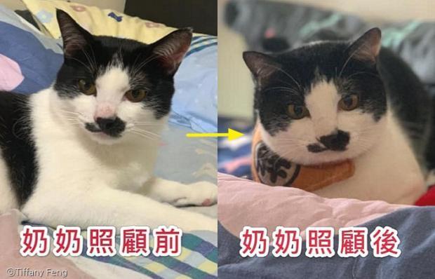 할머니의 확대력 | 인스티즈