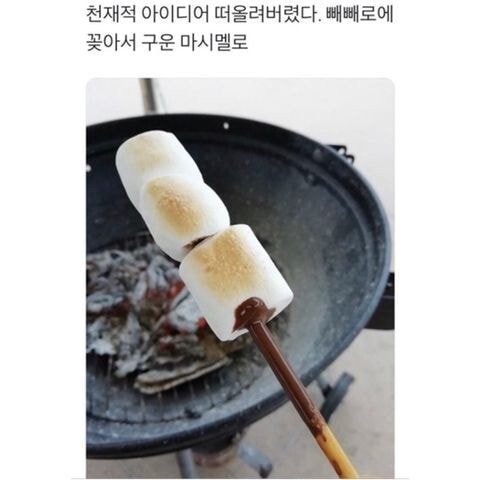 흔한 서울대생 | 인스티즈