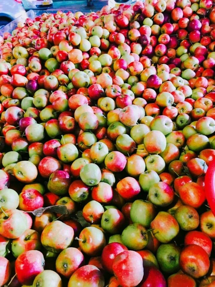 미니사과 jpg | 인스티즈