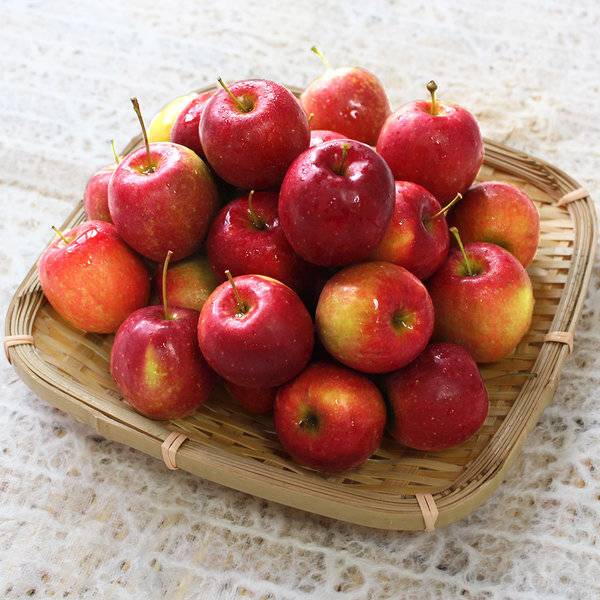 미니사과 jpg | 인스티즈