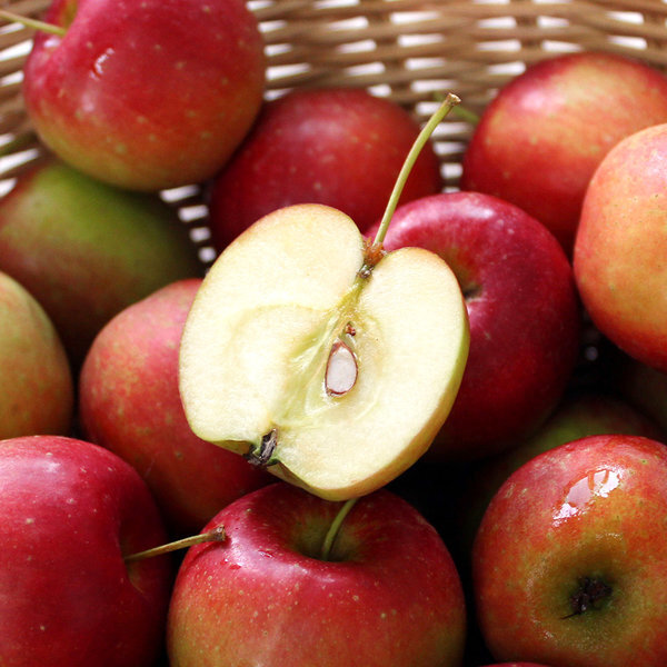 미니사과 jpg | 인스티즈