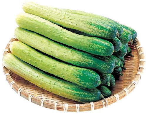 가지vs오이vs당근 채소 불호 원탑은? | 인스티즈