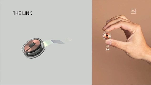 일론 머스크, 뉴럴링크 이식한 돼지 소개 | 인스티즈