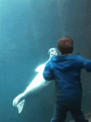 아쿠아리움 동물 리액션 | 인스티즈