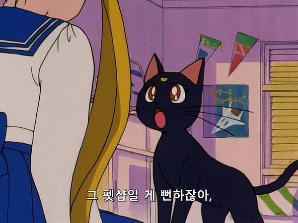 미소녀 전사 세일러문 (美少女戦士セーラームーン) 05 | 인스티즈