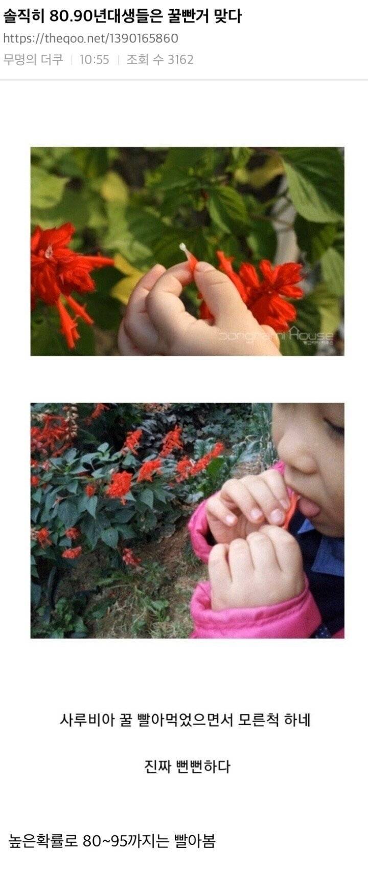 솔직히 80.90년대생들은 꿀빤거 맞다.jpg | 인스티즈
