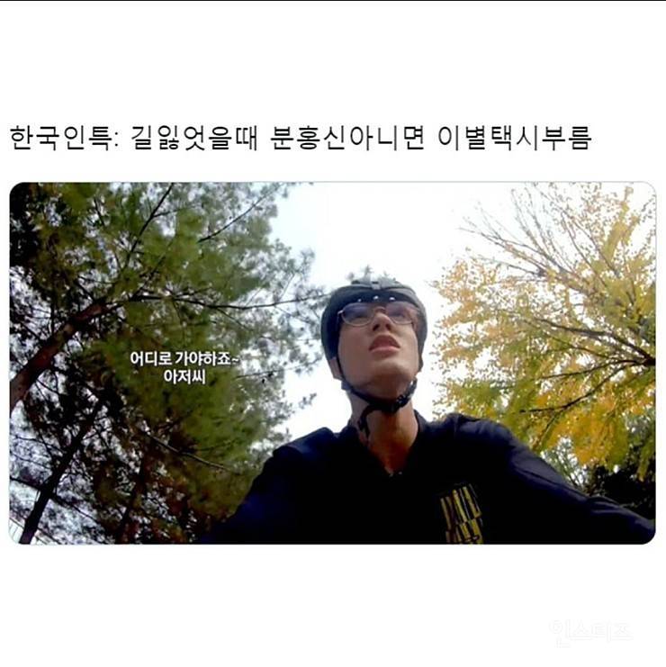 길 잃은 한국인 특징 | 인스티즈