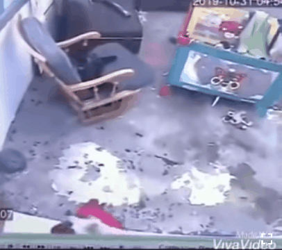 이래도 댕댕이 입니까? | 인스티즈