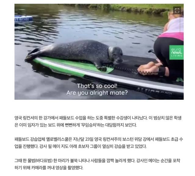 무임승차한 귀요미.jpg | 인스티즈