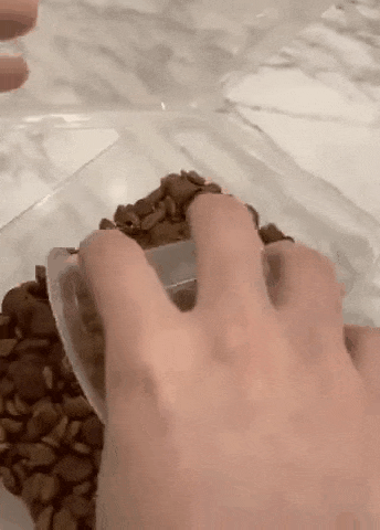 댕댕이 다이어트 시키기.gif | 인스티즈