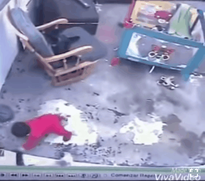 이래도 댕댕이 입니까? | 인스티즈